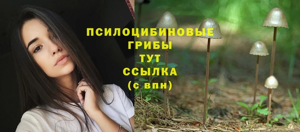 твердый Богородск