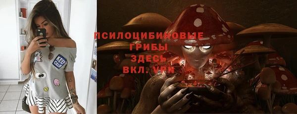 твердый Богородск