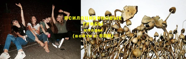 твердый Богородск