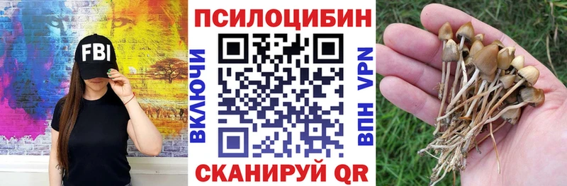 Галлюциногенные грибы ЛСД  мориарти телеграм  Северск 