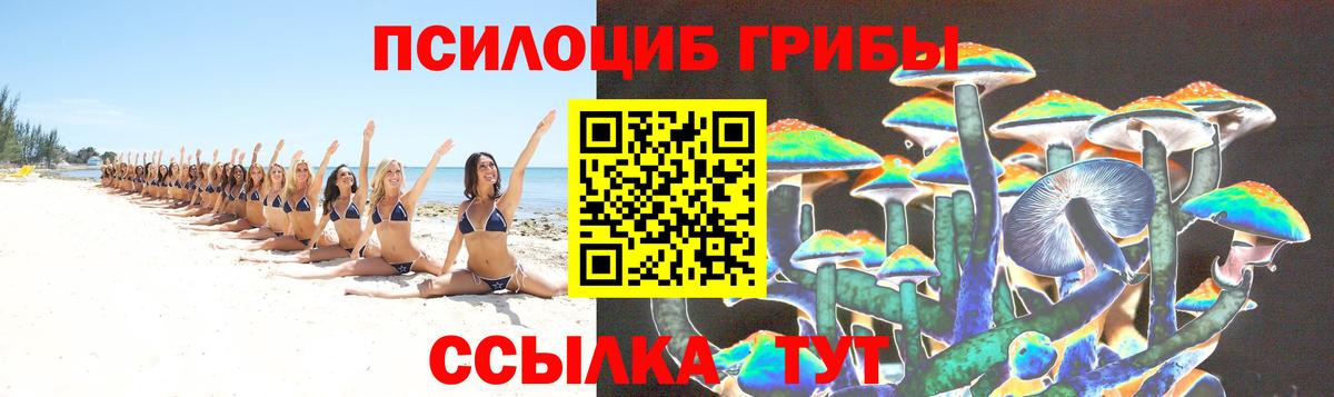 Псилоцибиновые грибы ЛСД  Вход с VPN  Северск 