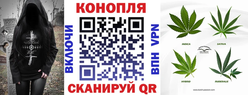 Каннабис Amnesia  где продают   Северск 